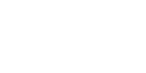 Logo DV Bern